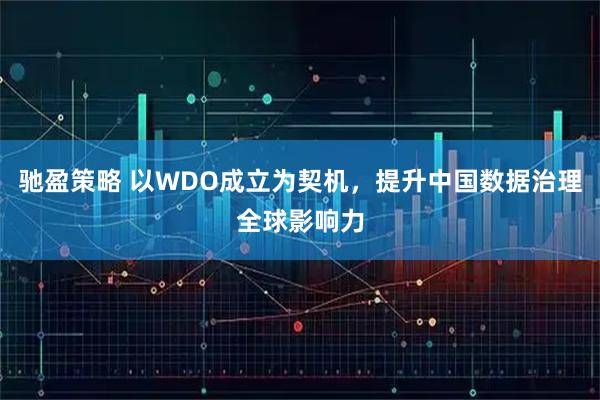 驰盈策略 以WDO成立为契机，提升中国数据治理全球影响力