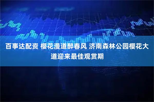 百事达配资 樱花漫道醉春风 济南森林公园樱花大道迎来最佳观赏期