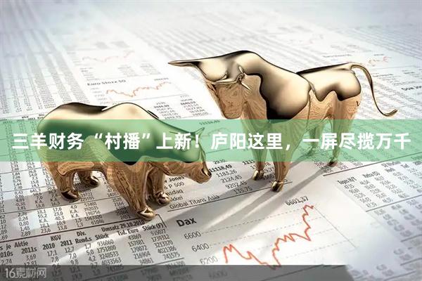 三羊财务 “村播”上新！庐阳这里，一屏尽揽万千